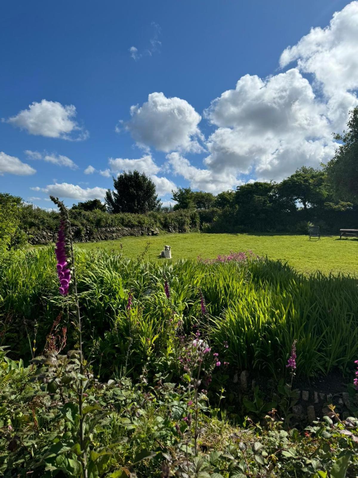 Kitts Cottage, Redruth, Cosy Cornish Retreat Екстериор снимка